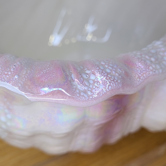 Porcelain Sea Shell - Picture 4 of 6